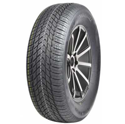 Royal Black ROYAL WINTER HP 205/55/R16 91H