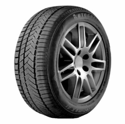 Autogreen WINTER-MAX A1 -WL5 255/40/R19 100V XL